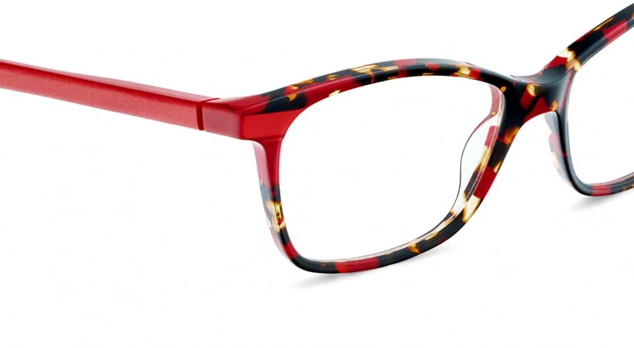 Etnia Barcelona QUINCY Eyeglasses - view 16